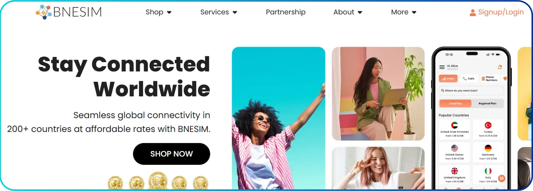 bnesim homepage