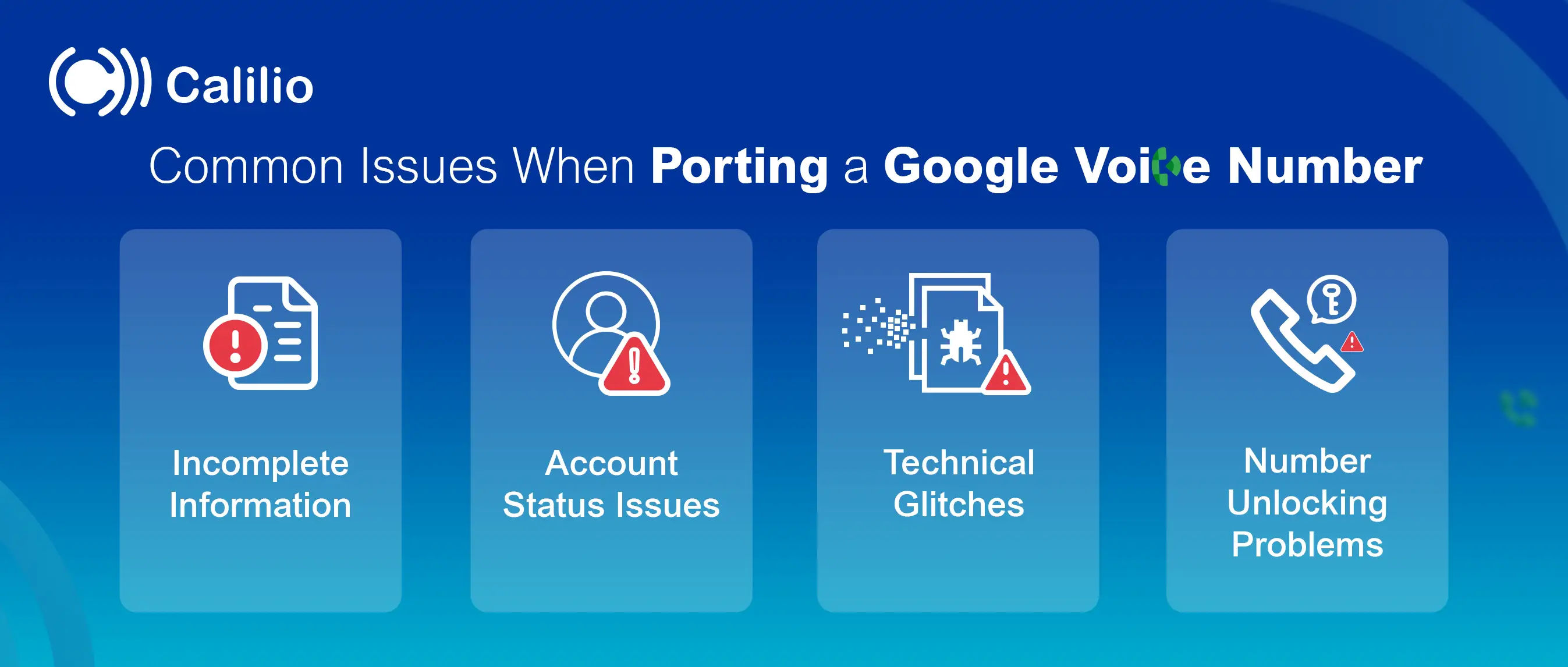 common issues when porting a google voice