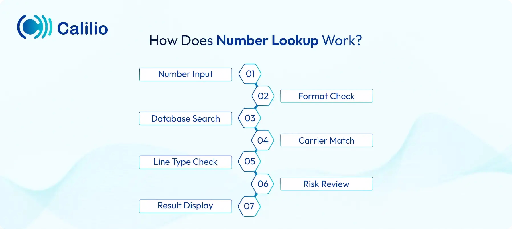 how does number lookup work info graphics