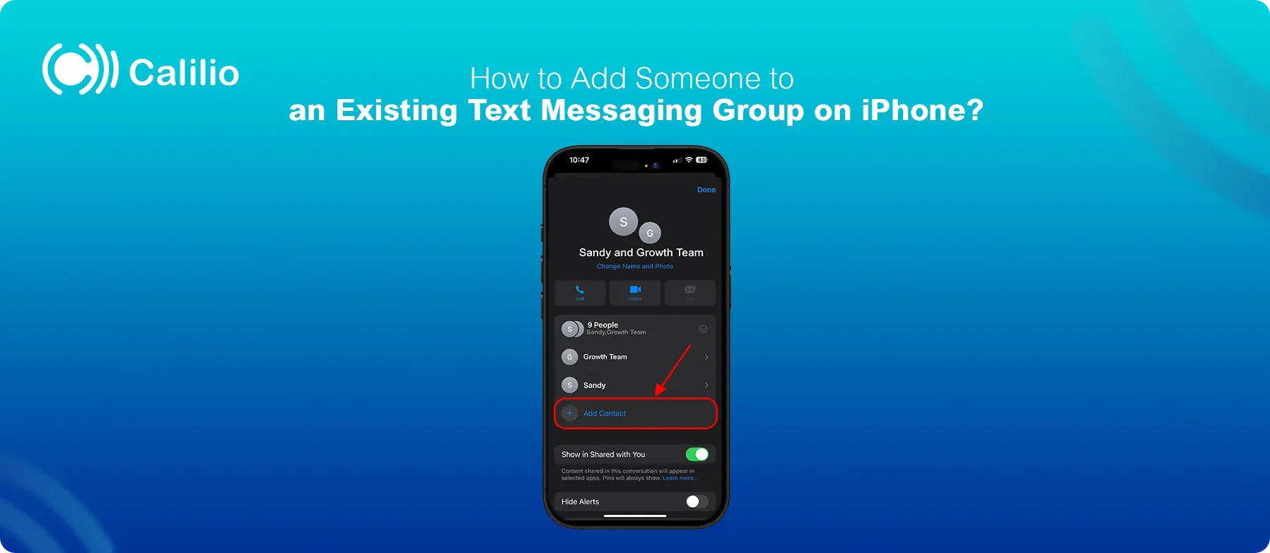 iphone screenshot showing how to add someone to an existing text messaging group