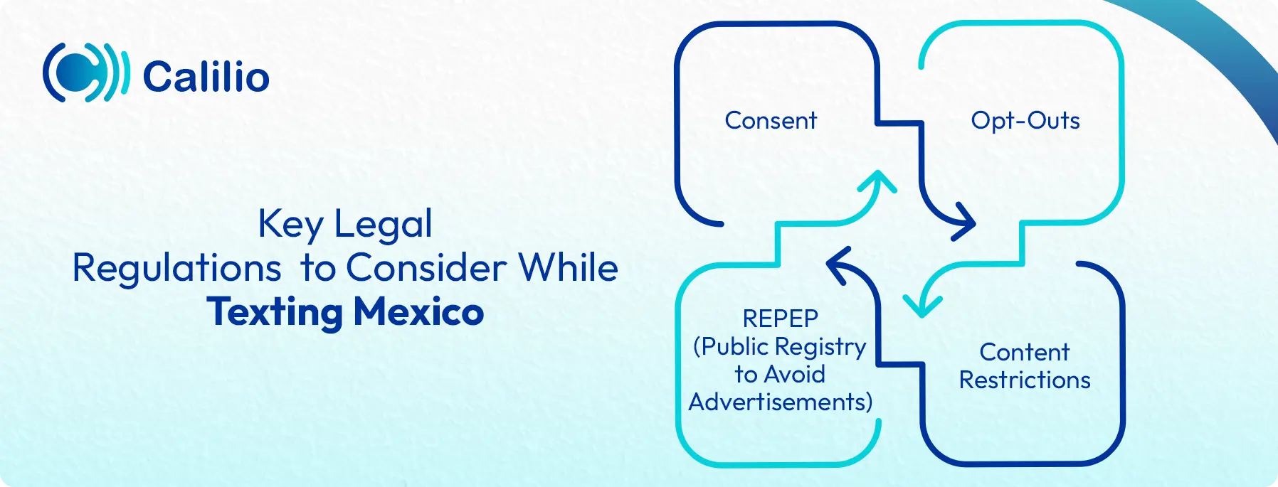 legal regulations to be considered while texting mexico