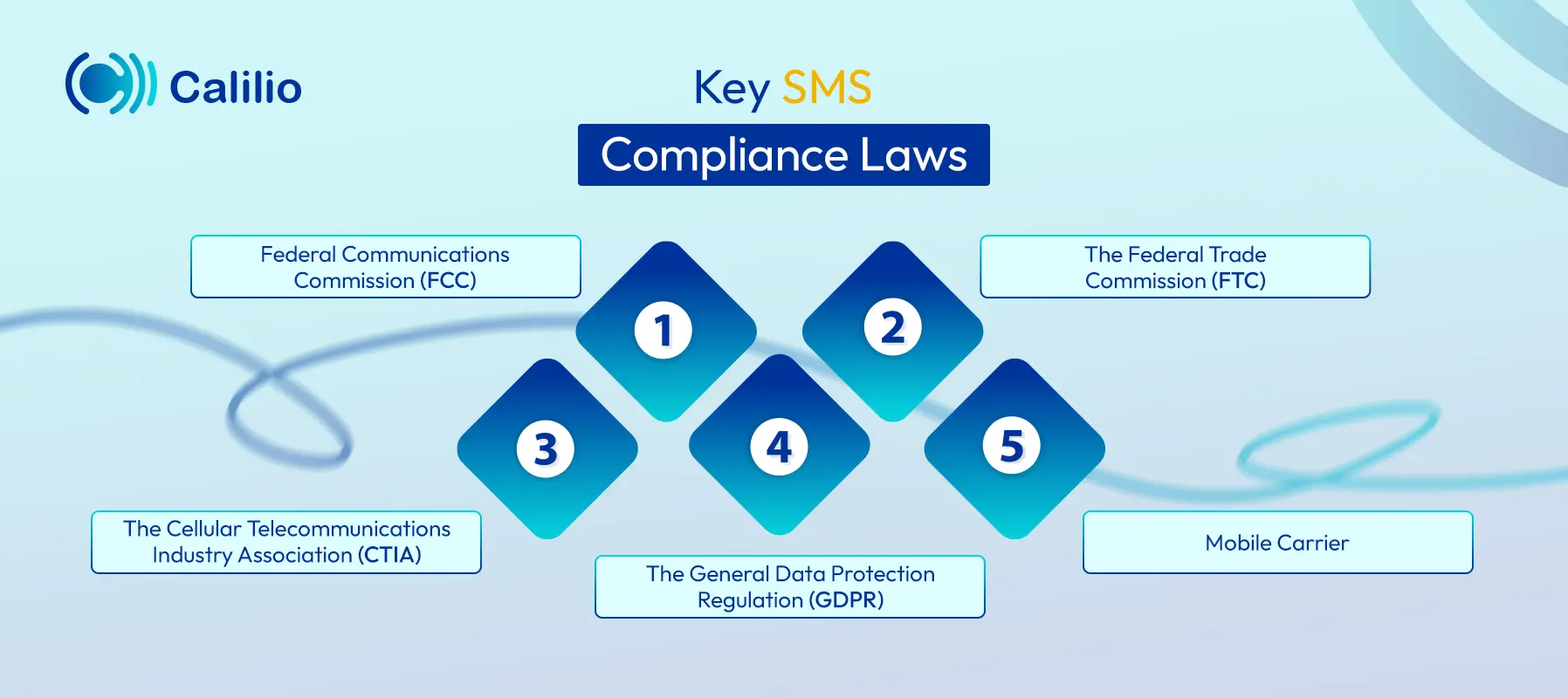 basic sms compliance law