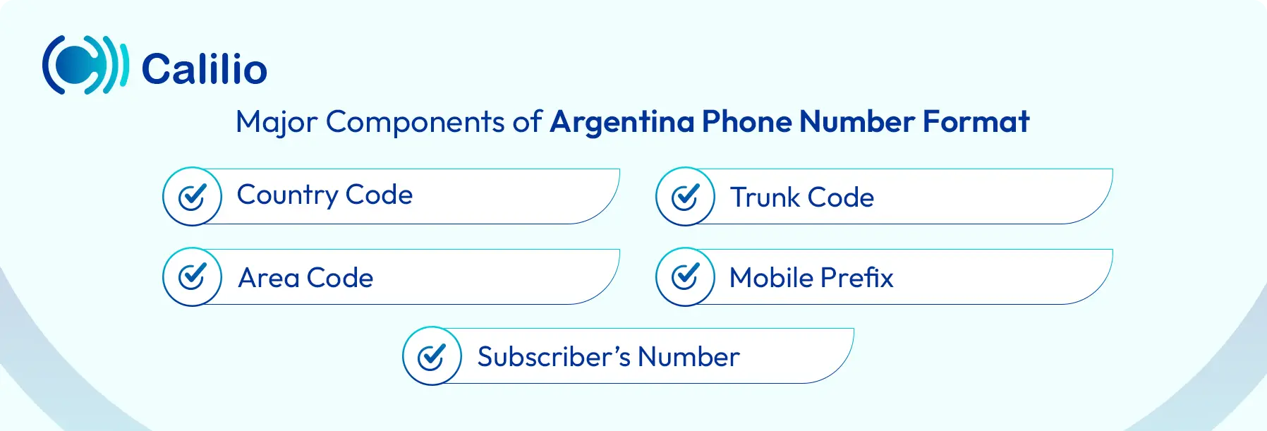 argentina phone number components