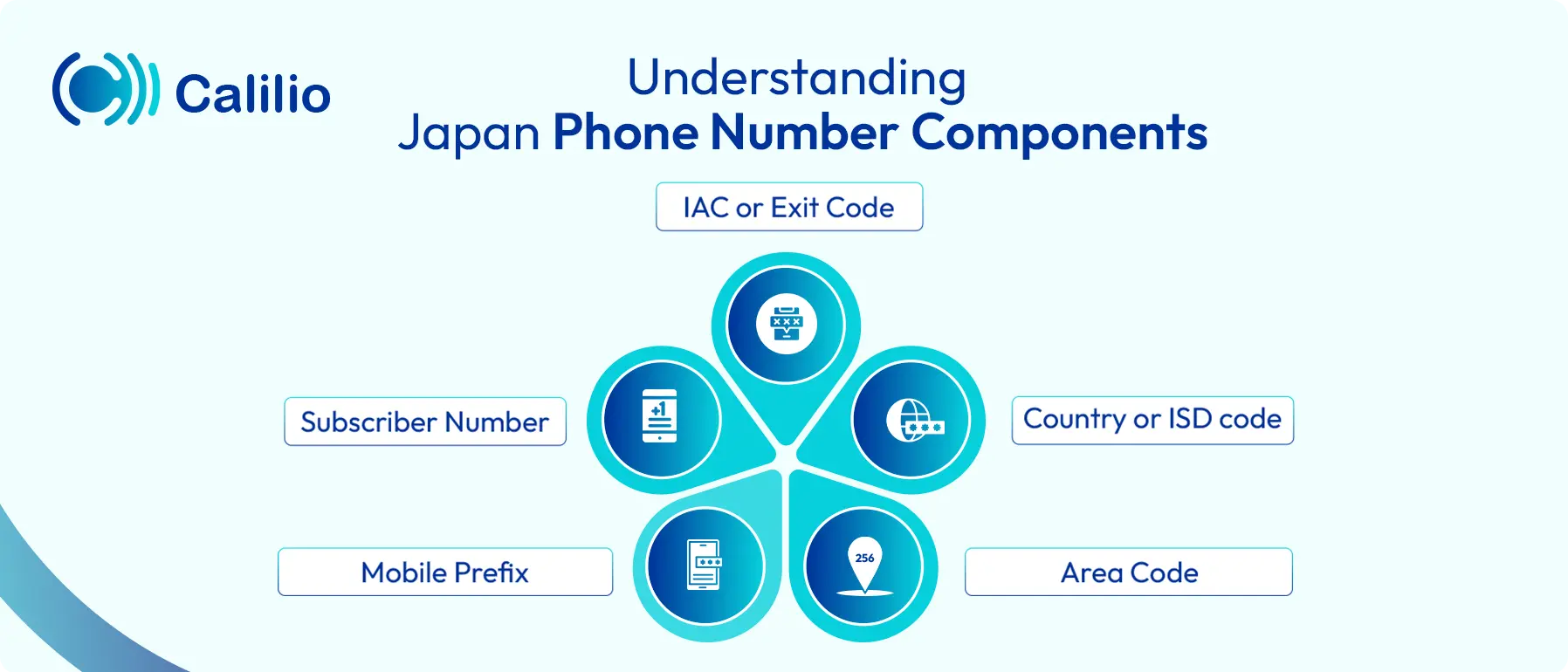 japan phone number components
