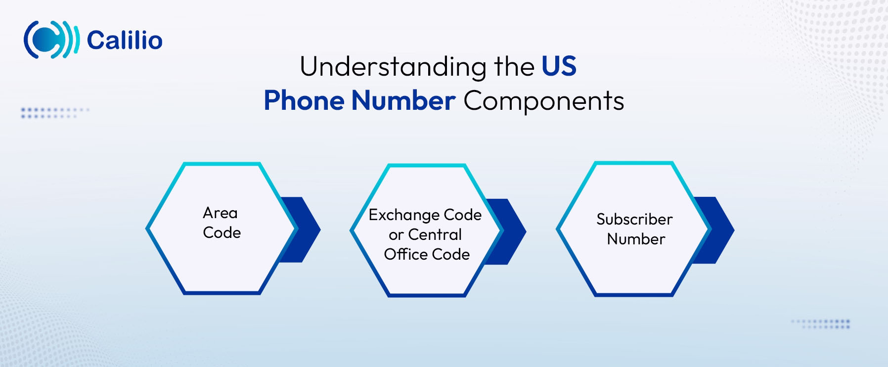 components of us phone number