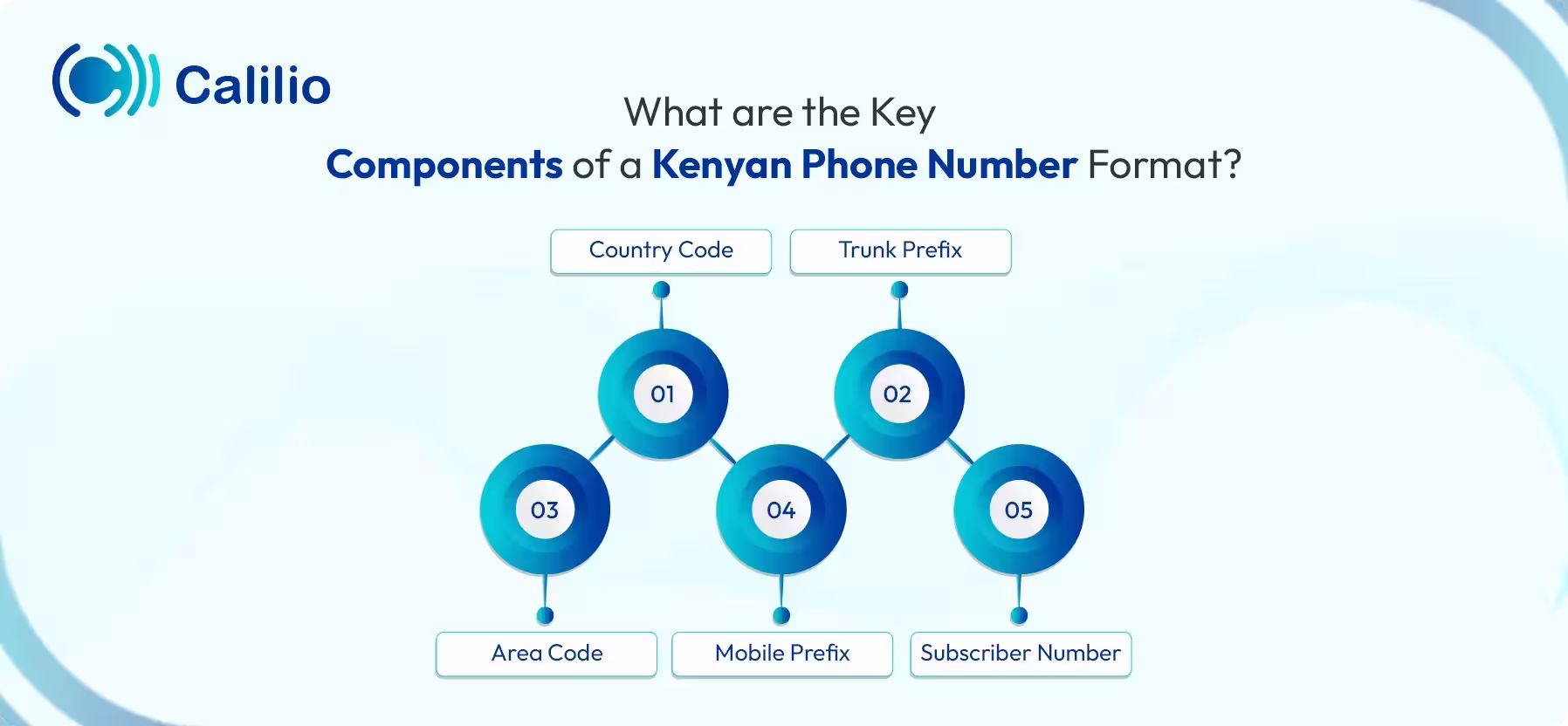 what are the key components of a kenyan phone number format