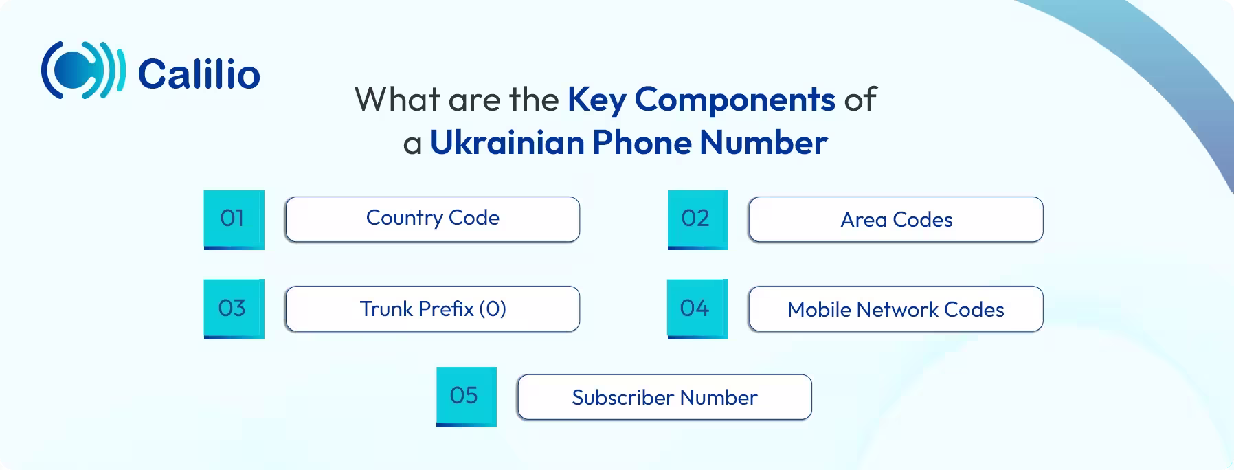 what are the key components of a ukrainian telephone number