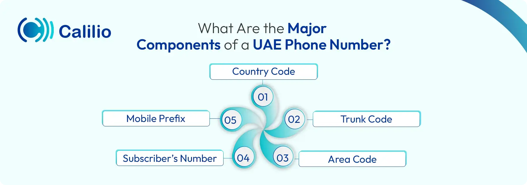 uae phone number format explained