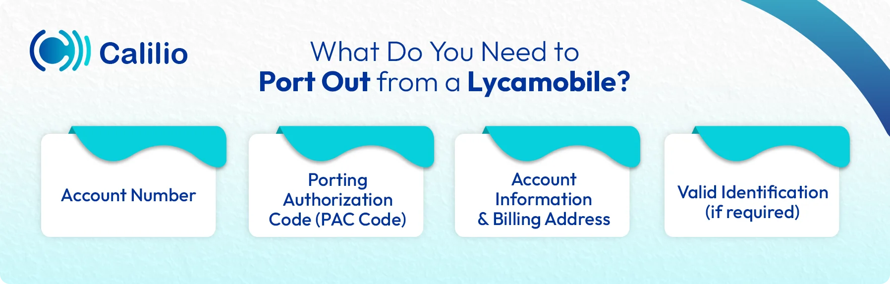 things to keep in mind when porting out number from lycamobile