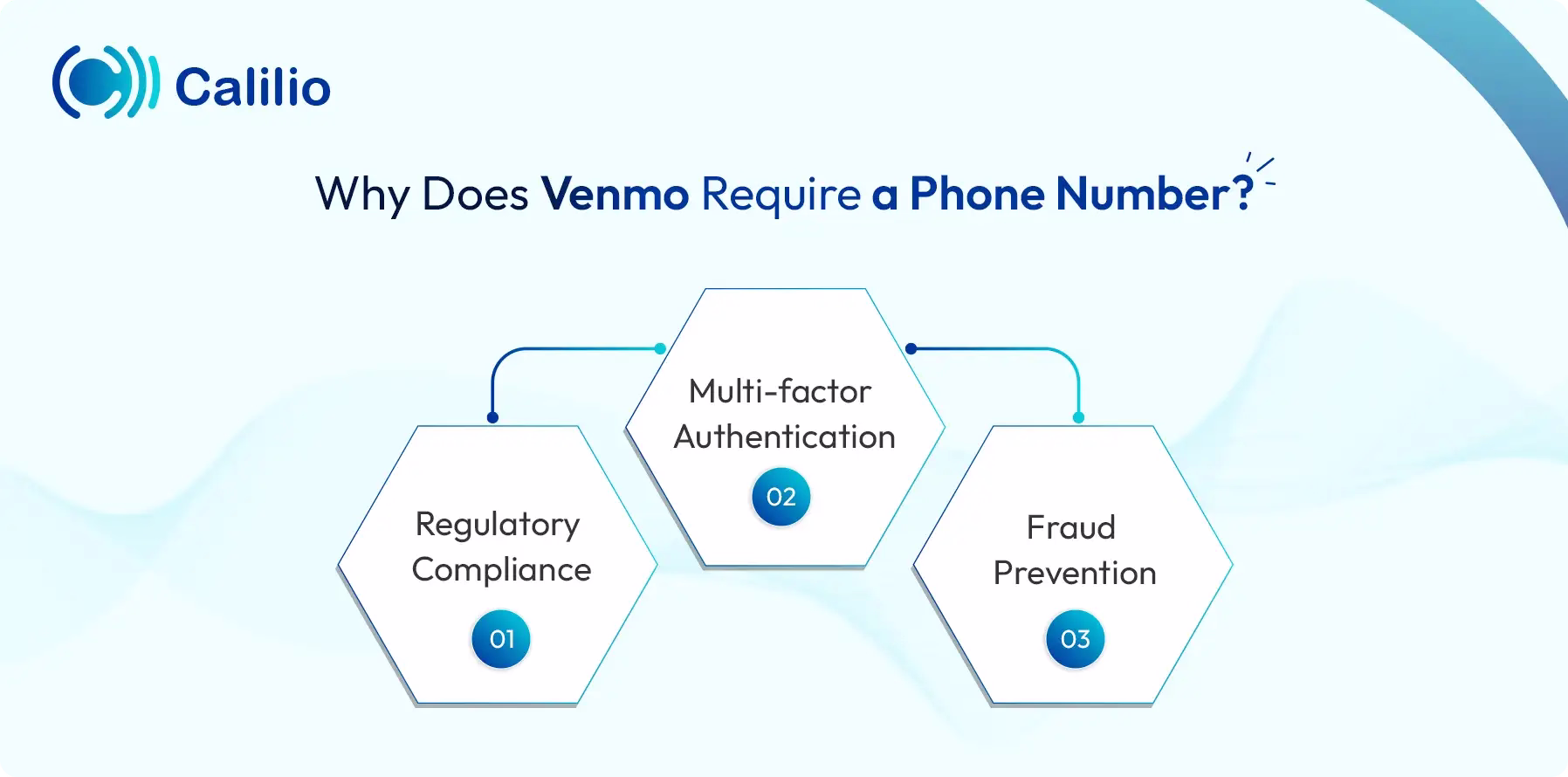 reasons why venmo requires a phone number