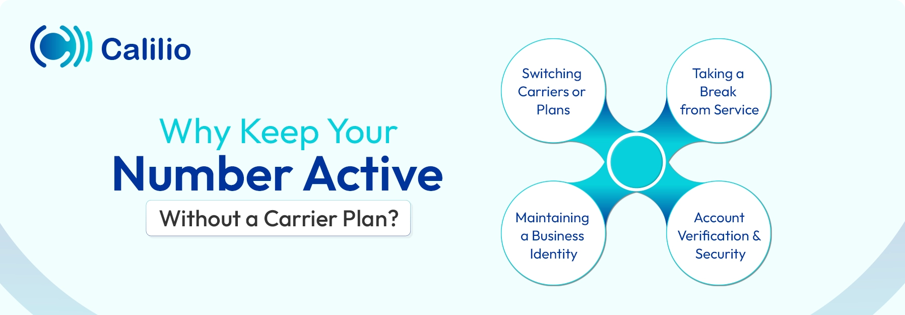 why maintain your number without an active carrier plan